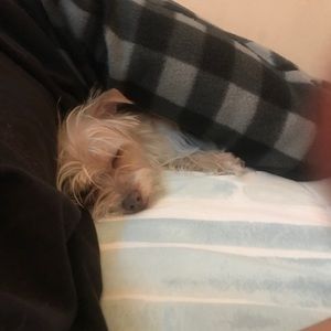 Meet your Posher, Brian